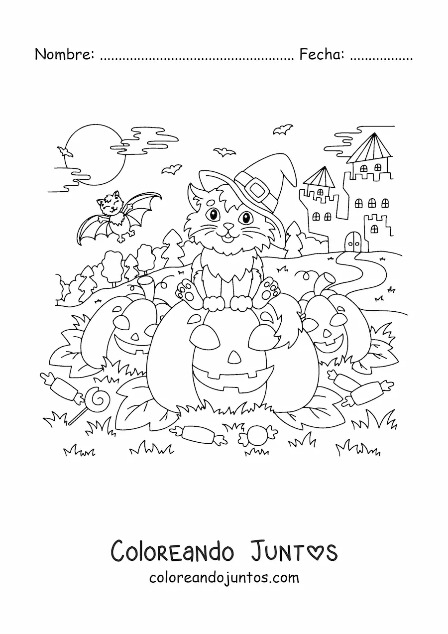 Imagen para colorear de gato kawaii con sombrero de bruja sentado en una calabaza de Halloween