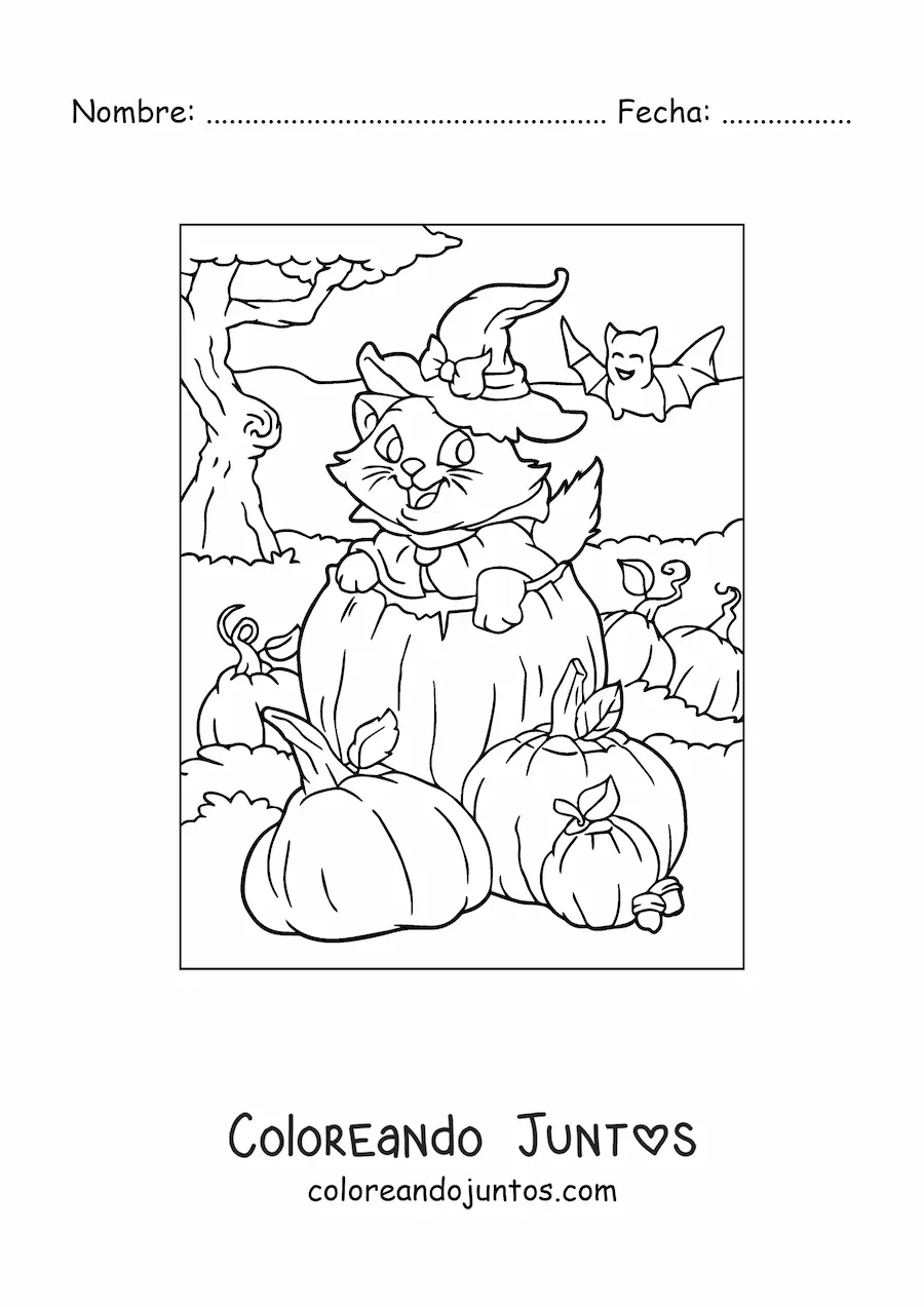 Imagen para colorear de gato kawaii con sombrero de bruja dentro de una calabaza de Halloween
