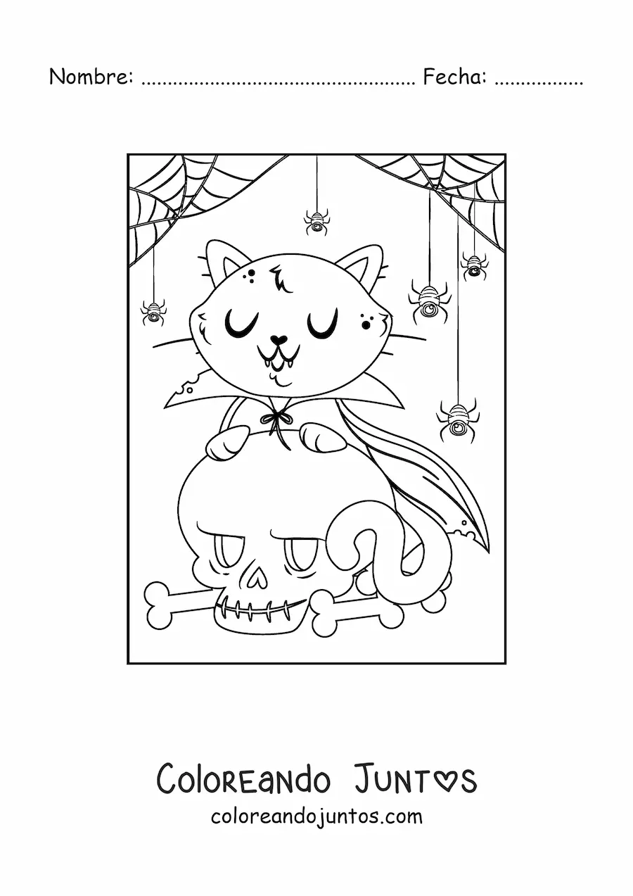 Imagen para colorear de gato vampiro con calavera y telarañas