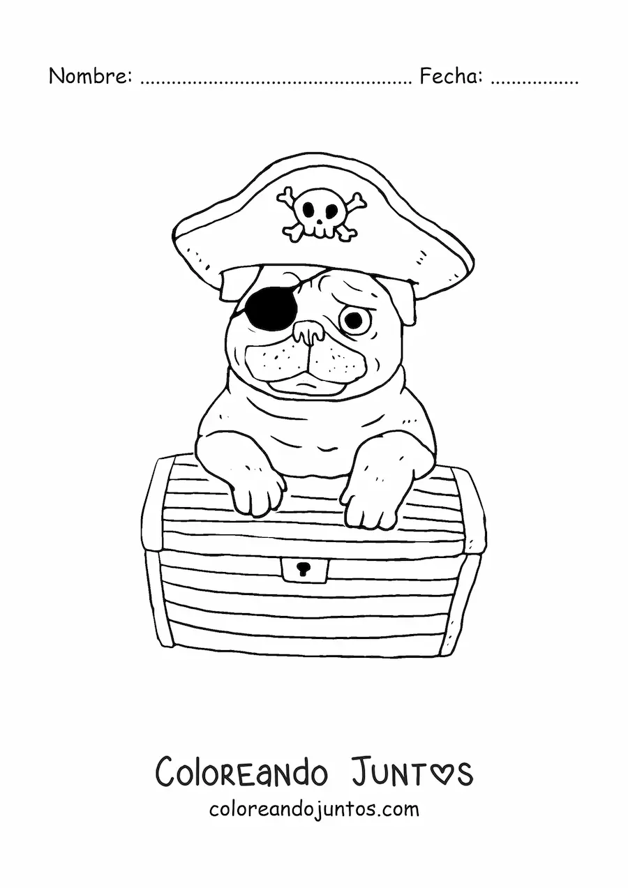 Imagen para colorear de pug pirata animado
