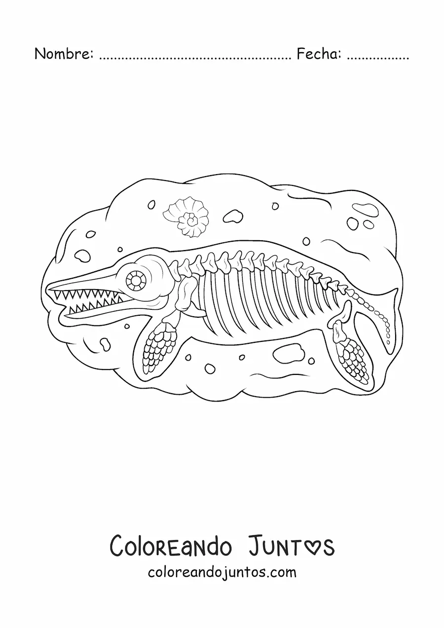 Imagen para colorear de fósil de un dinosaurio acuático