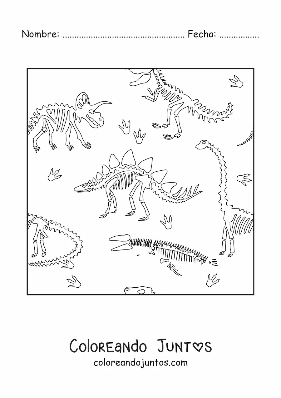 Imagen para colorear de huesos de dinosaurios
