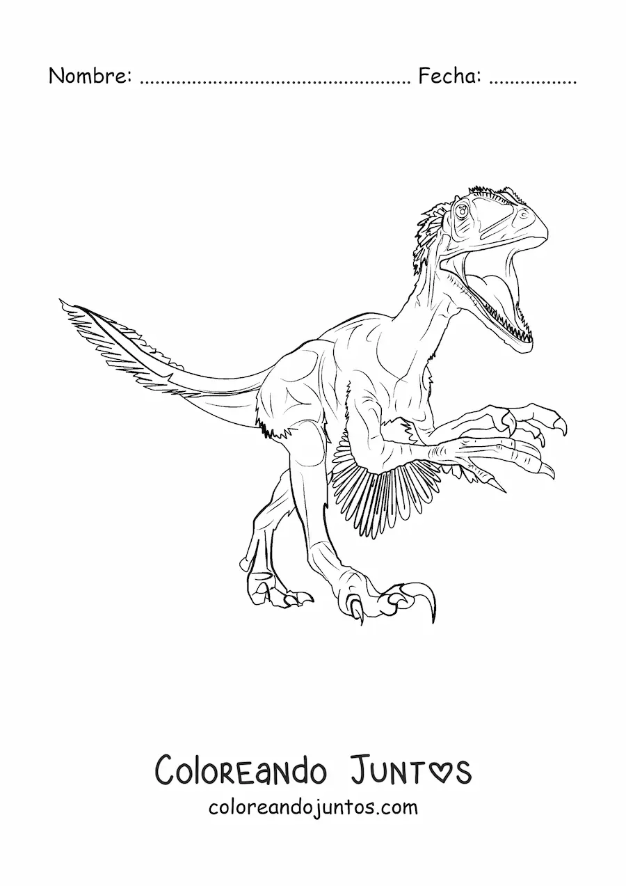 Imagen para colorear de deinonychus carnívoro