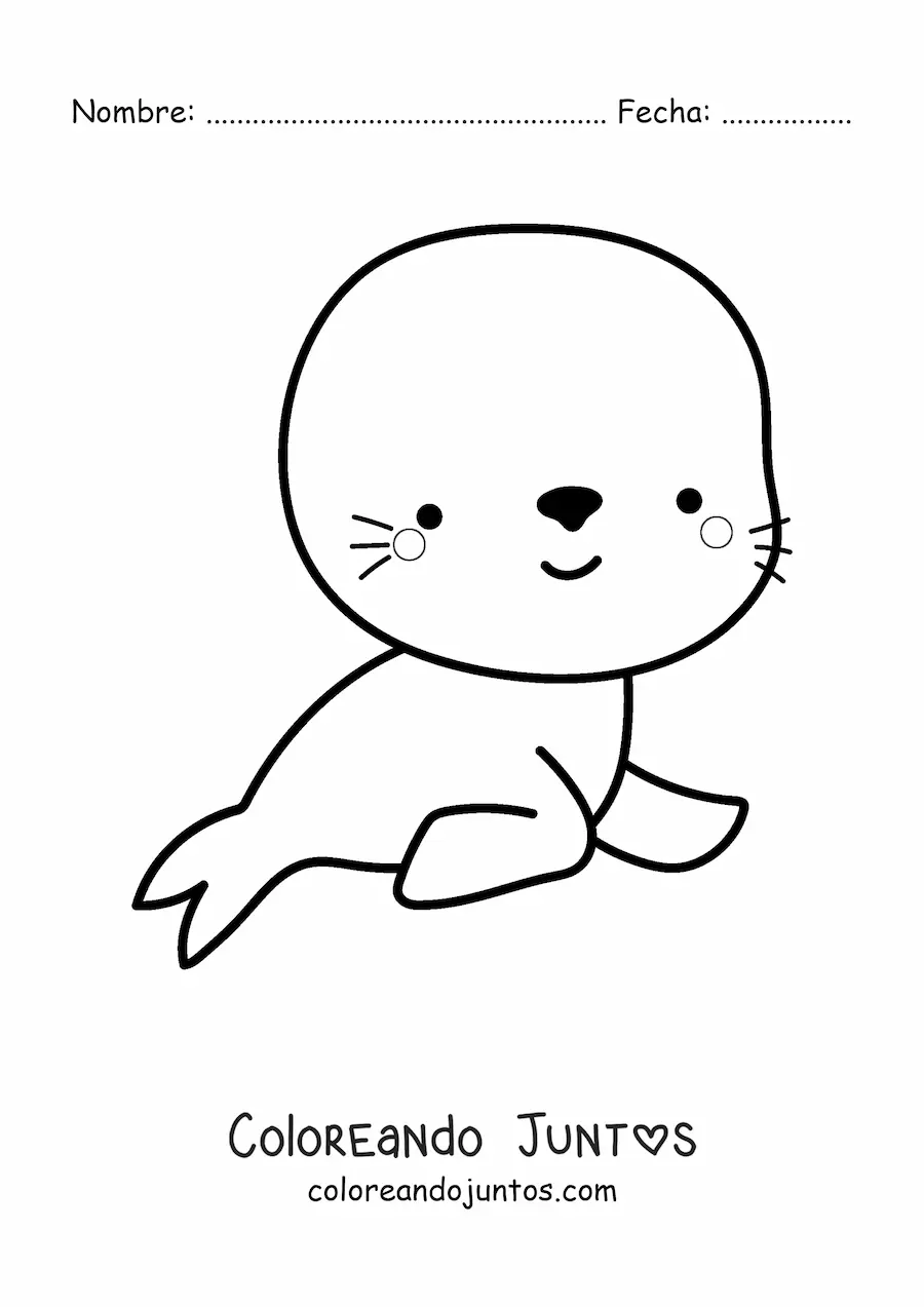 Imagen para colorear de foca kawaii grande