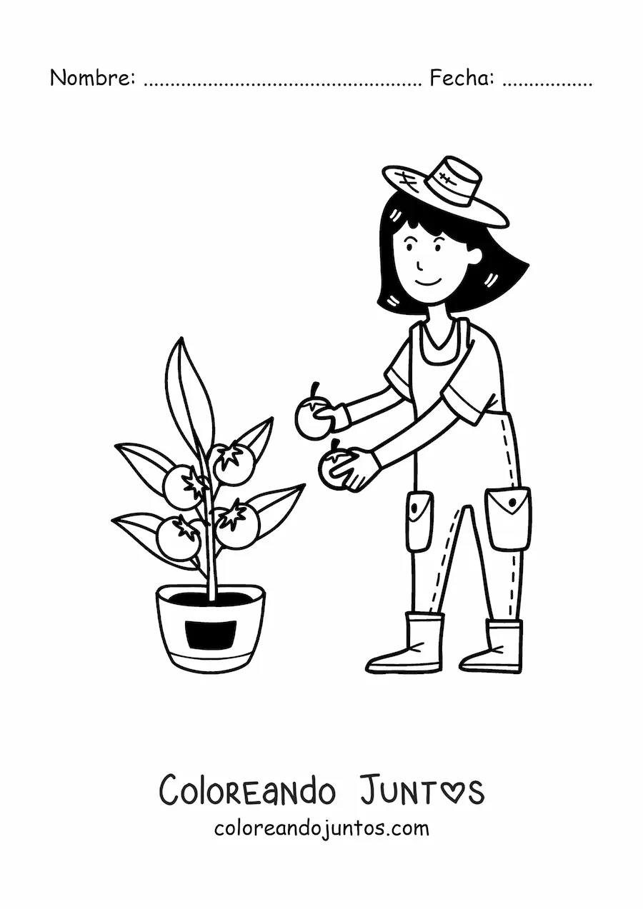 Imagen para colorear de granjera kawaii cosechando tomates