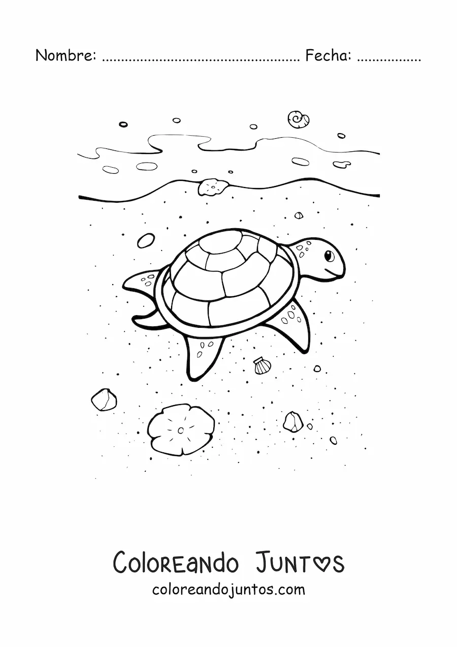 Imagen para colorear de tortuga en la playa