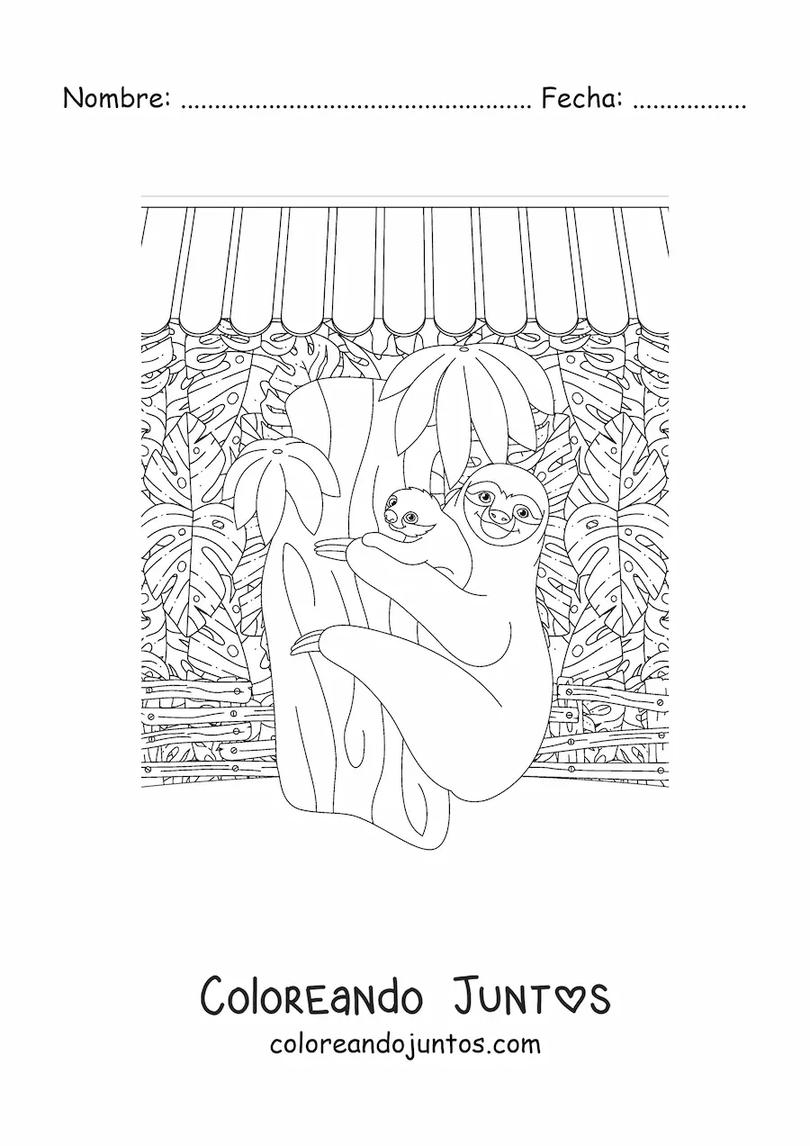Imagen para colorear de perezas de selva tropical