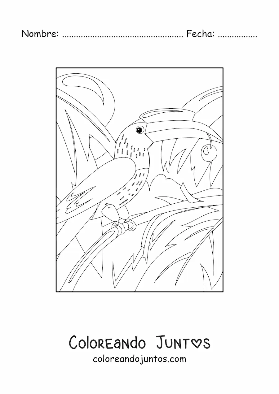 Imagen para colorear de tucán en la selva