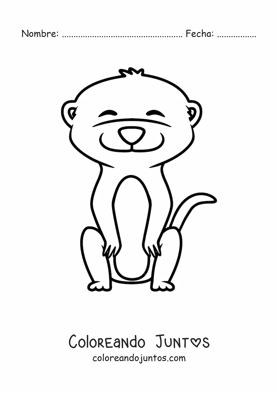 Imagen para colorear de suricata animada