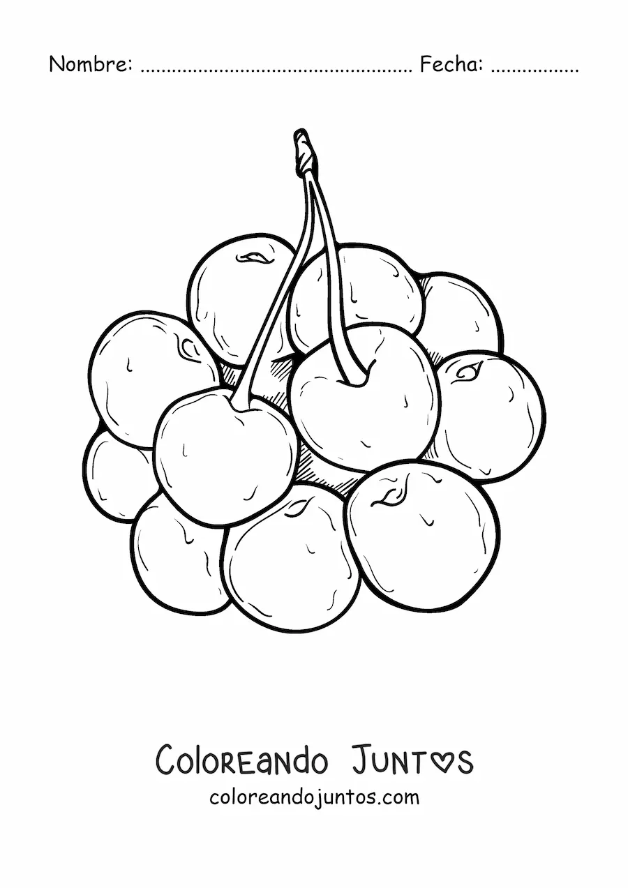 Imagen para colorear de un racimo de cerezas