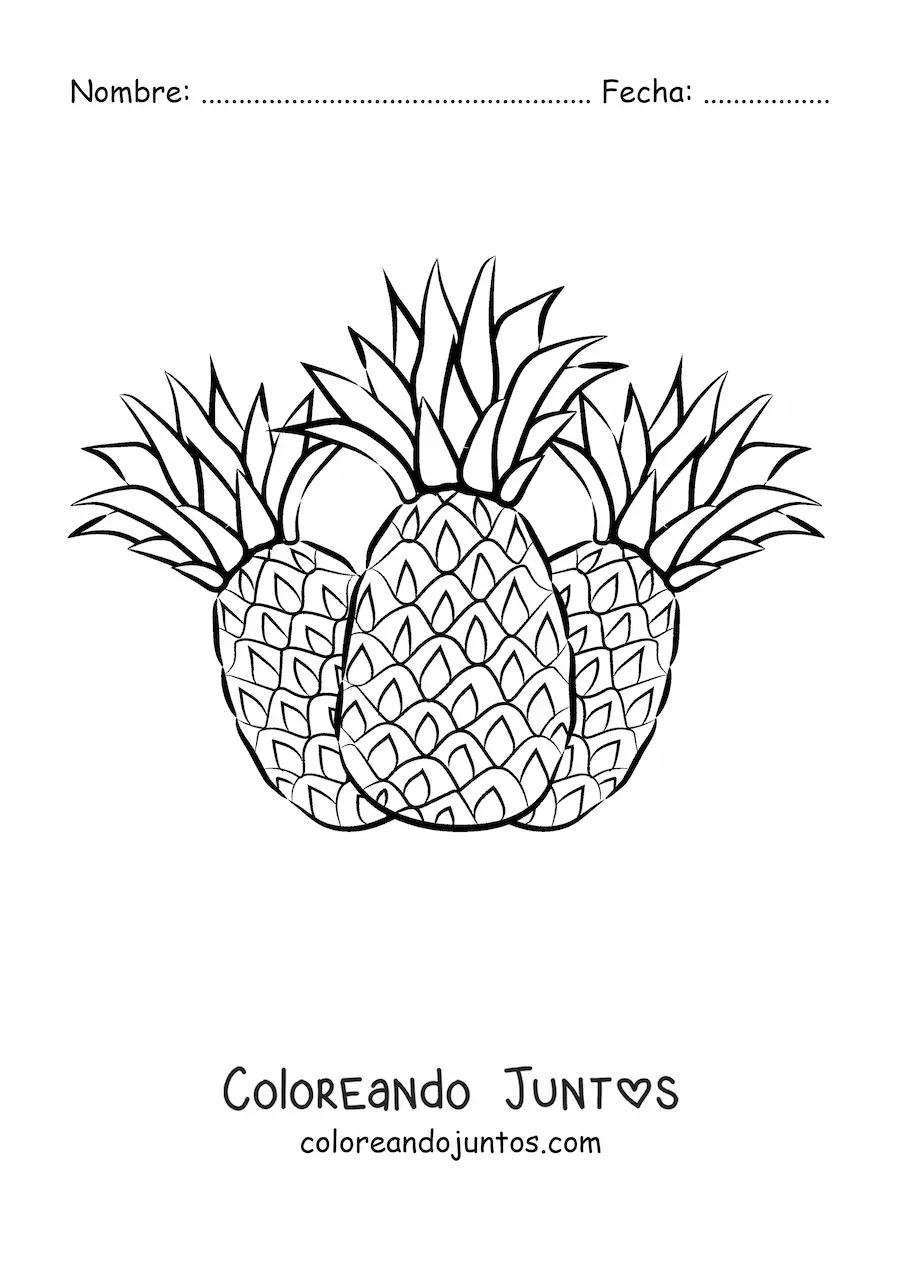 Imagen para colorear de tres piñas