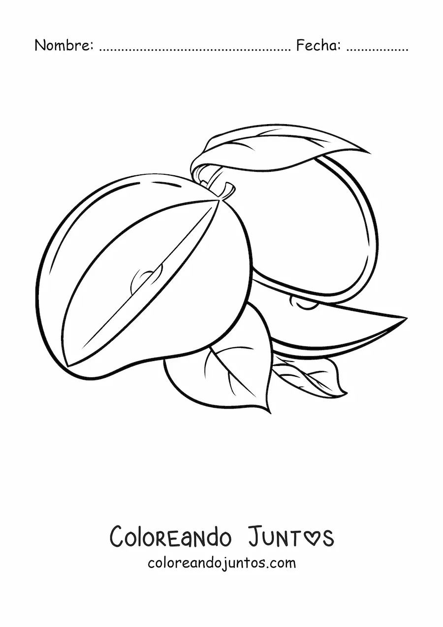 Imagen para colorear de un mango rebanado