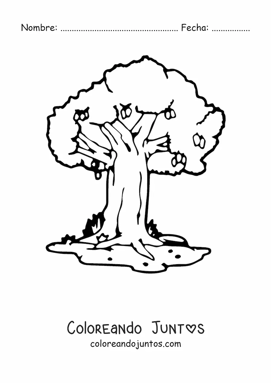 Imagen para colorear de un árbol de mango