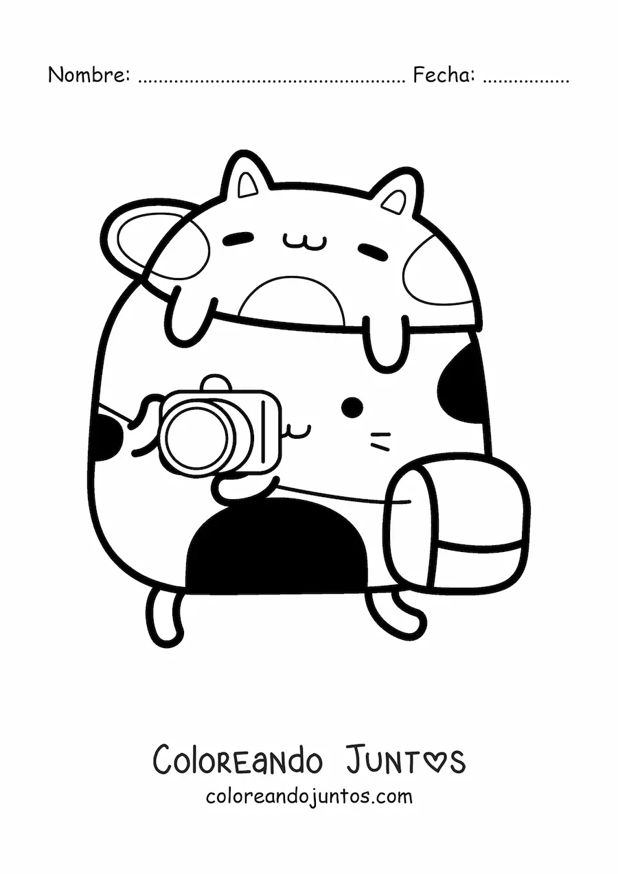Imagen para colorear de gato fotógrafo animado kawaii