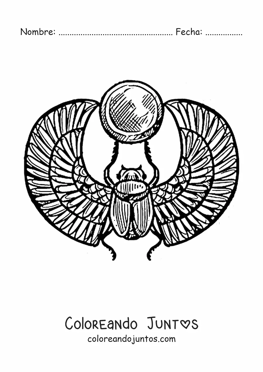 Imagen para colorear de escarabajo egipcio