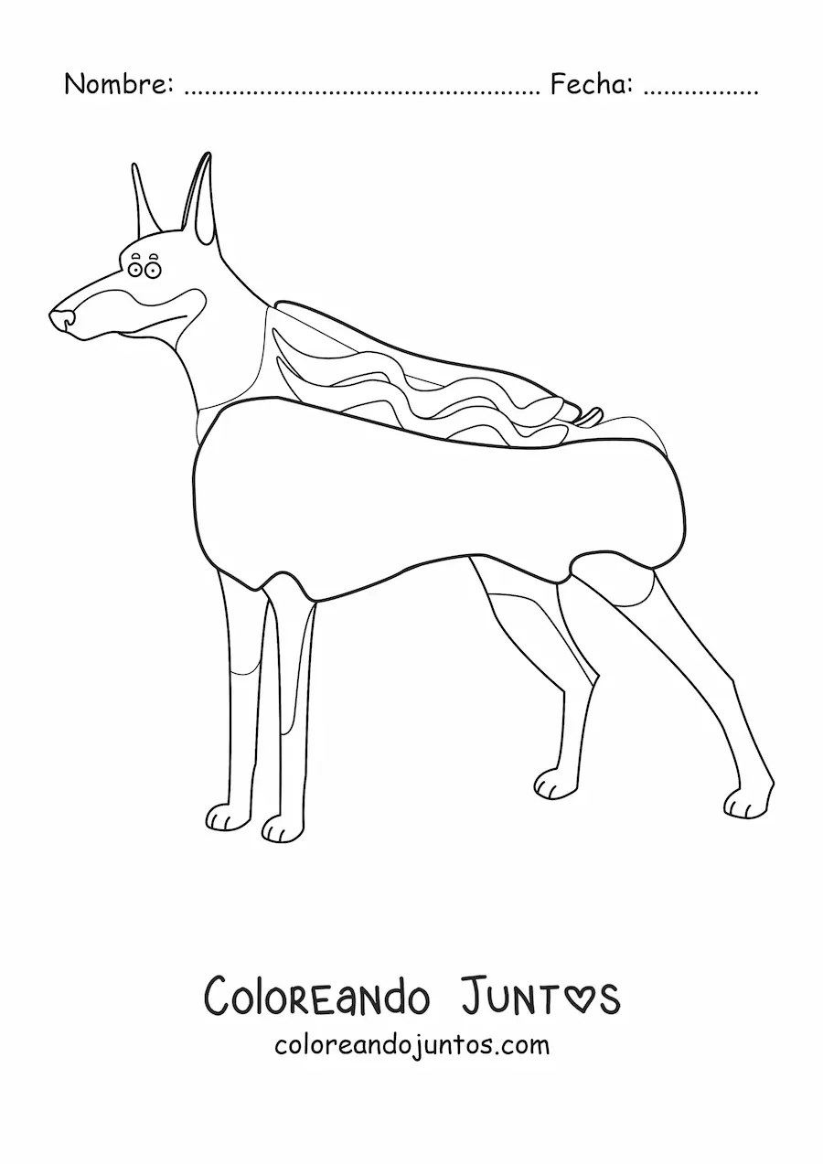 Imagen para colorear de un doberman disfrazado de salchicha