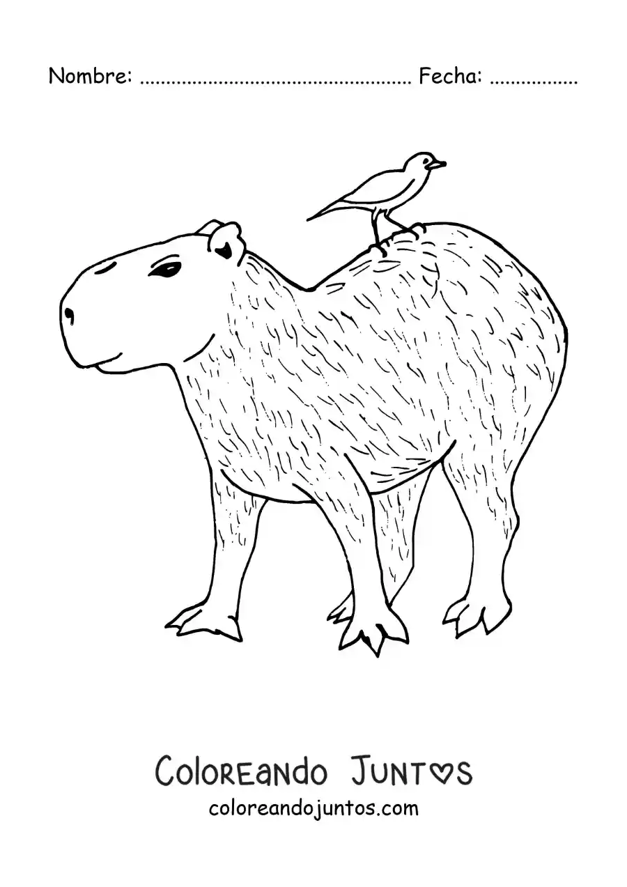 Imagen para colorear de carpincho animado