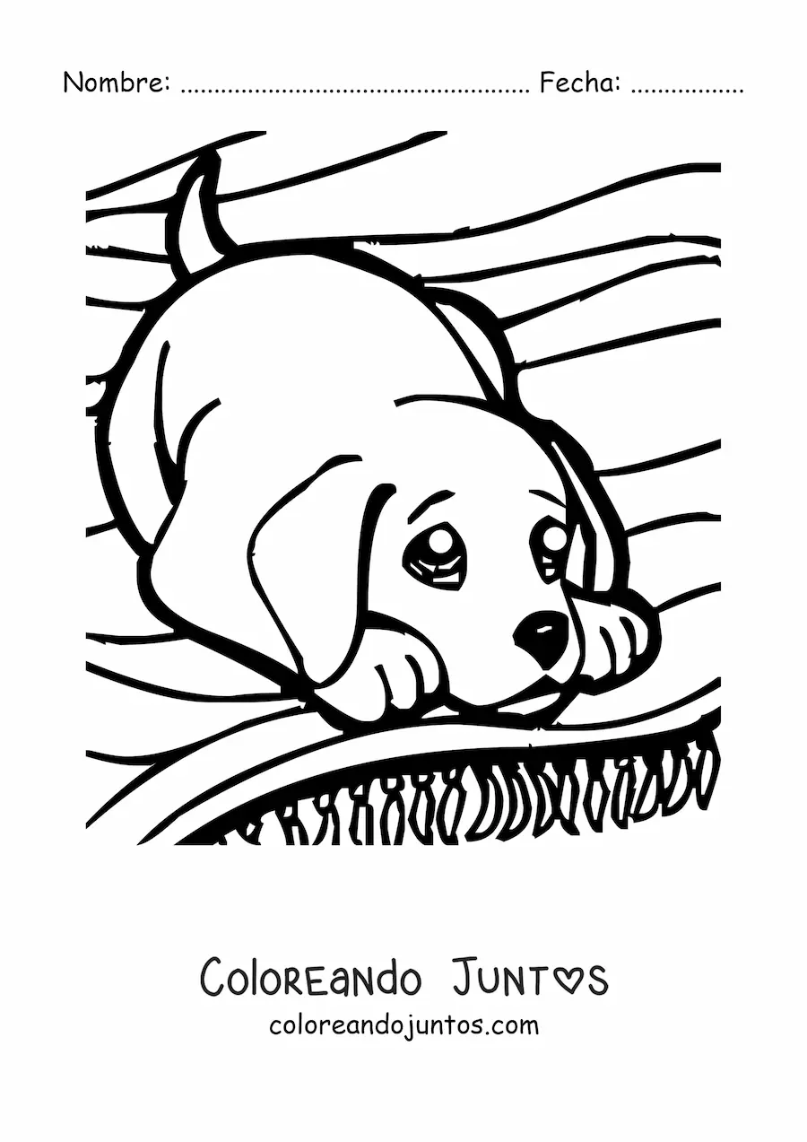 Imagen para colorear de un cachorro jugando