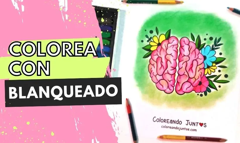 Blanqueado: Características y Trucos para Aplicarlo