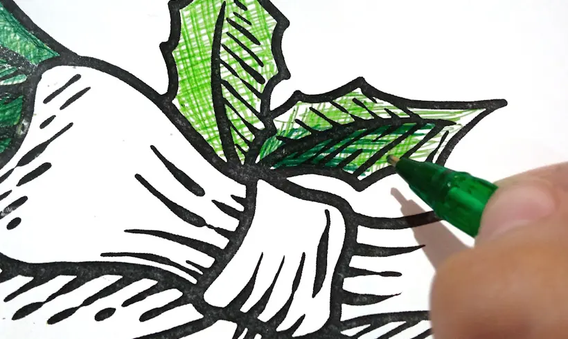 Paso 2 para pintar con Bolígrafos