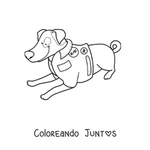 Imagen para colorear de un jack russell terrier acostado usando una chaqueta