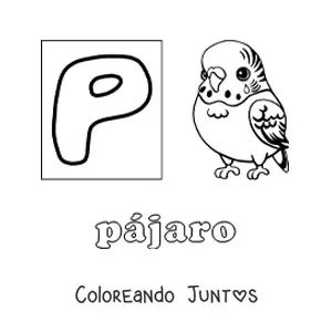 Imagen para colorear de p de pájaro