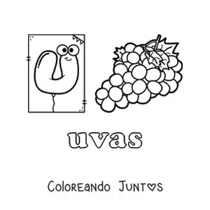 Imagen para colorear de u de uvas