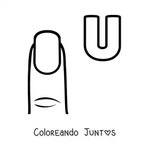 U de uña