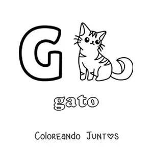 Letra G de gato