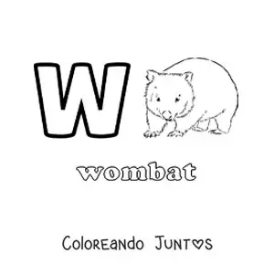 Imagen para colorear de la letra w de wombat