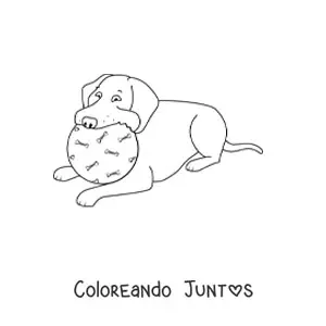 Imagen para colorear de un labrador acostado mordiendo una pelota