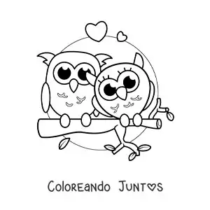 Imagen para colorear de pareja de búhos kawaii enamorados