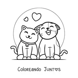 Gatos enamorados maullando con corazones
