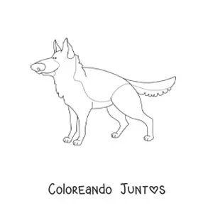Imagen para colorear de un pastor alemán
