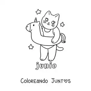 Imagen para colorear de junio con un gato animado con un salvavidas