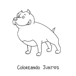 Imagen para colorear de un pitbull