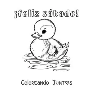 Imagen para colorear de feliz sábado con un pato tierno