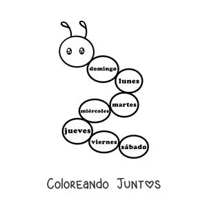 Gusano con los días de la semana para niños
