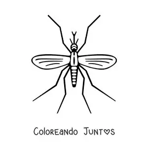 Imagen para colorear de un mosquito del dengue