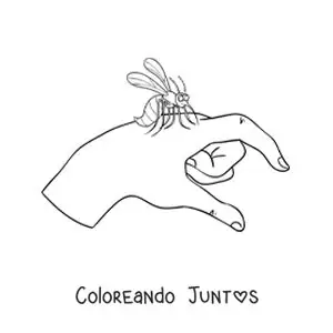 Imagen para colorear de picada del mosquito aedes aegypti