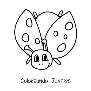 Imagen para colorear de una mariquita animada volando