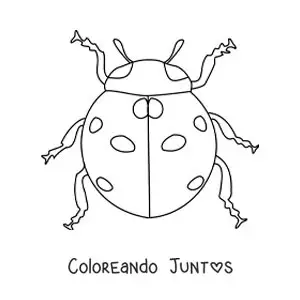 Imagen para colorear de una mariquita realista