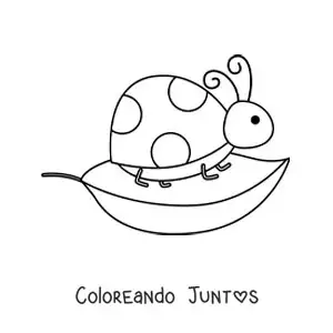 Imagen para colorear de una mariquita animada en una hoja