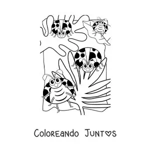 Imagen para colorear de catarinas animadas en un jardín