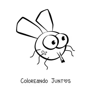 Imagen para colorear de una mosca graciosa fácil