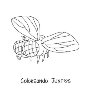 Mosca doméstica volando