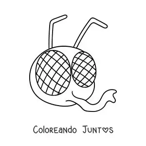 Imagen para colorear de la cara de una mosca