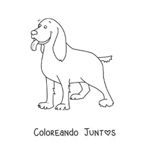 Imagen para colorear de un cocker spaniel