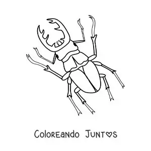 Imagen para colorear de escarabajo ciervo