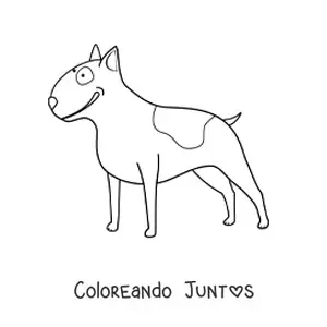 Imagen para colorear de un bull terrier
